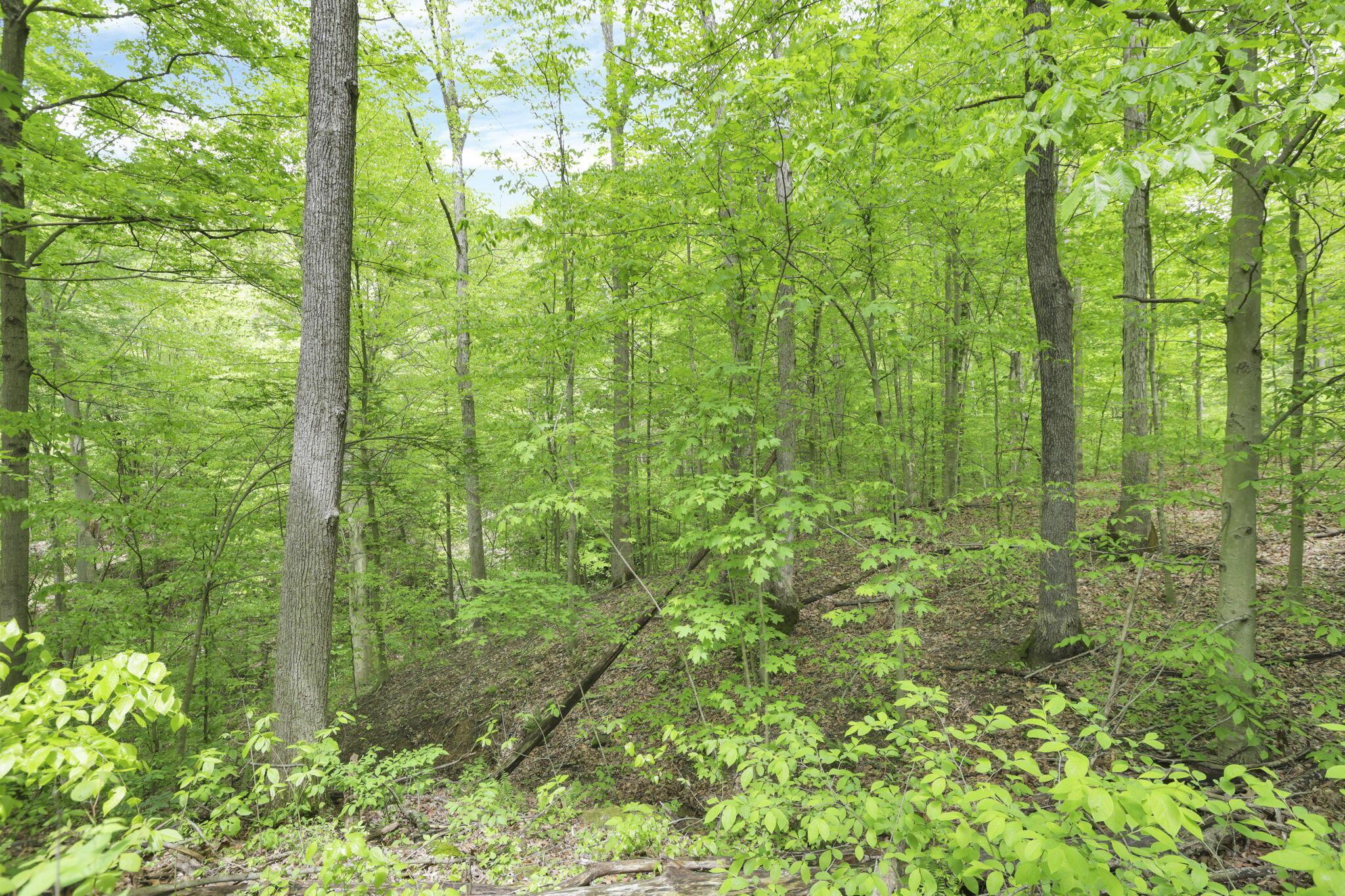 Karnes Road, Nelsonville, Ohio image 19