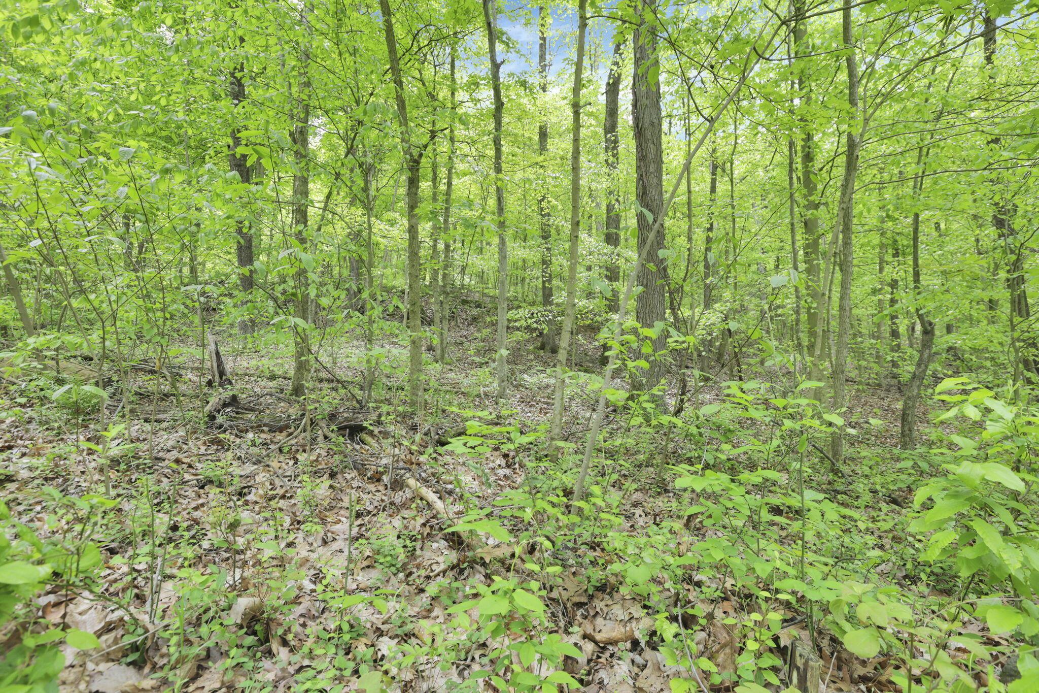 Karnes Road, Nelsonville, Ohio image 20