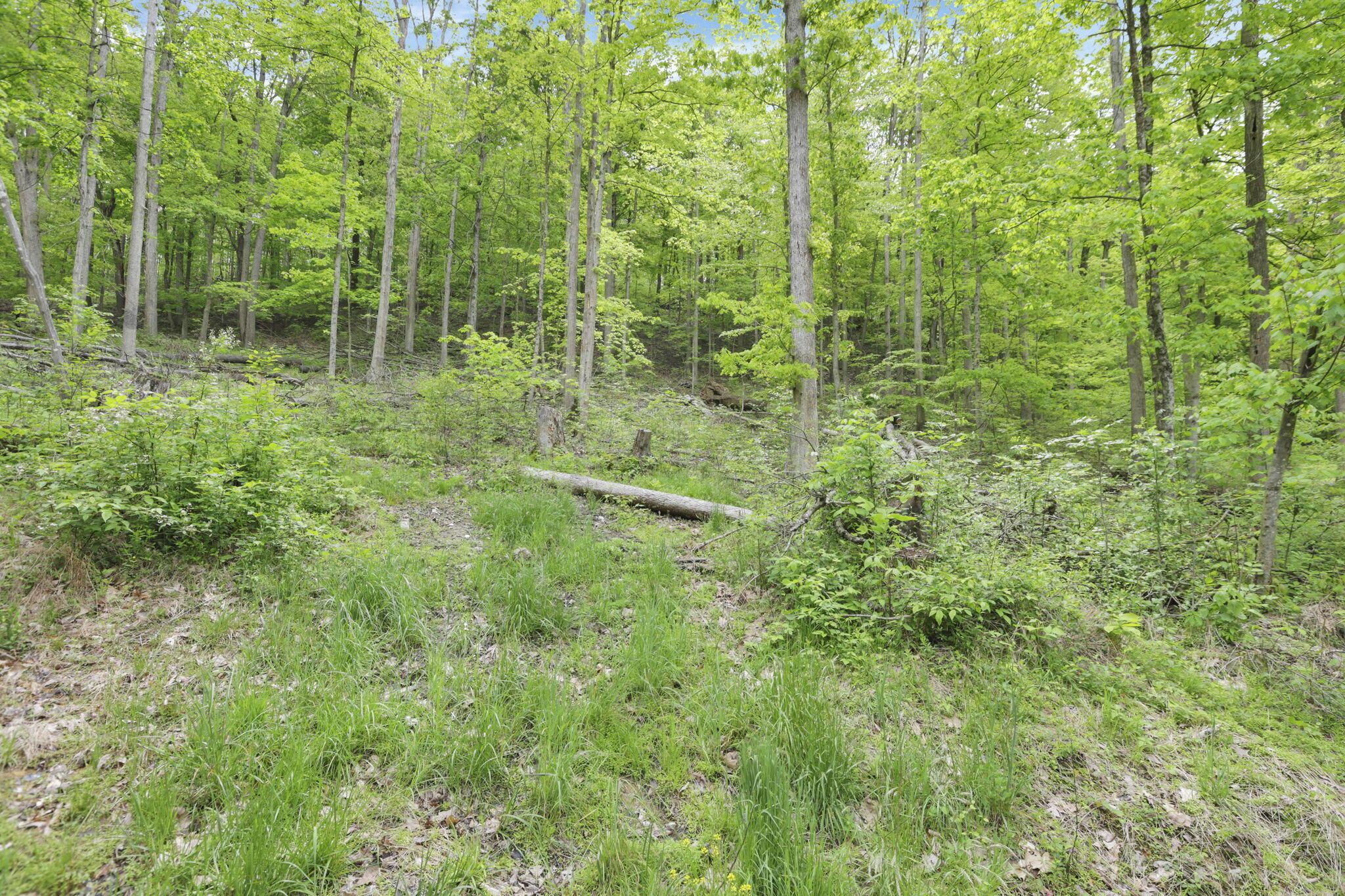 Karnes Road, Nelsonville, Ohio image 17