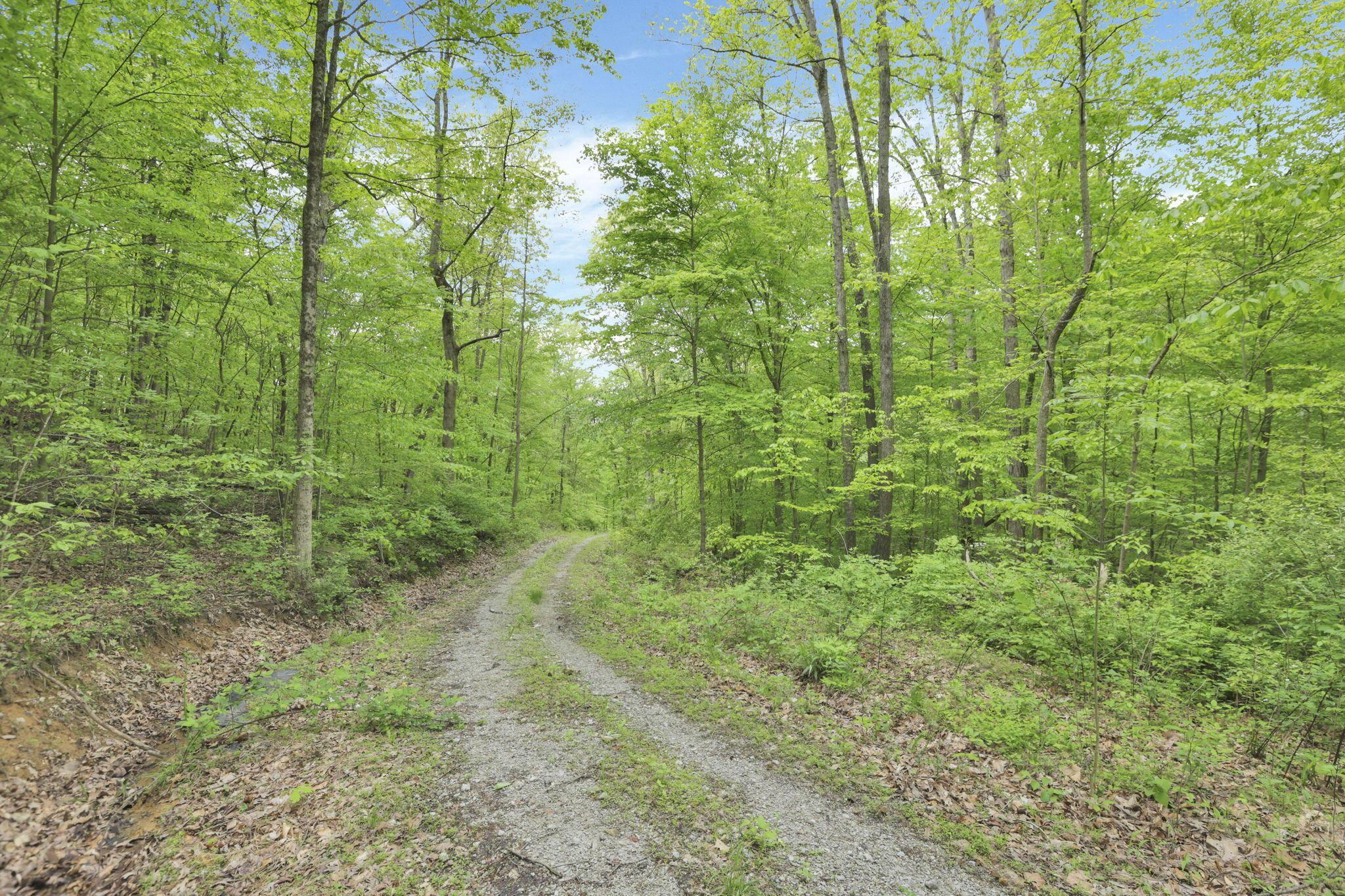 Karnes Road, Nelsonville, Ohio image 18