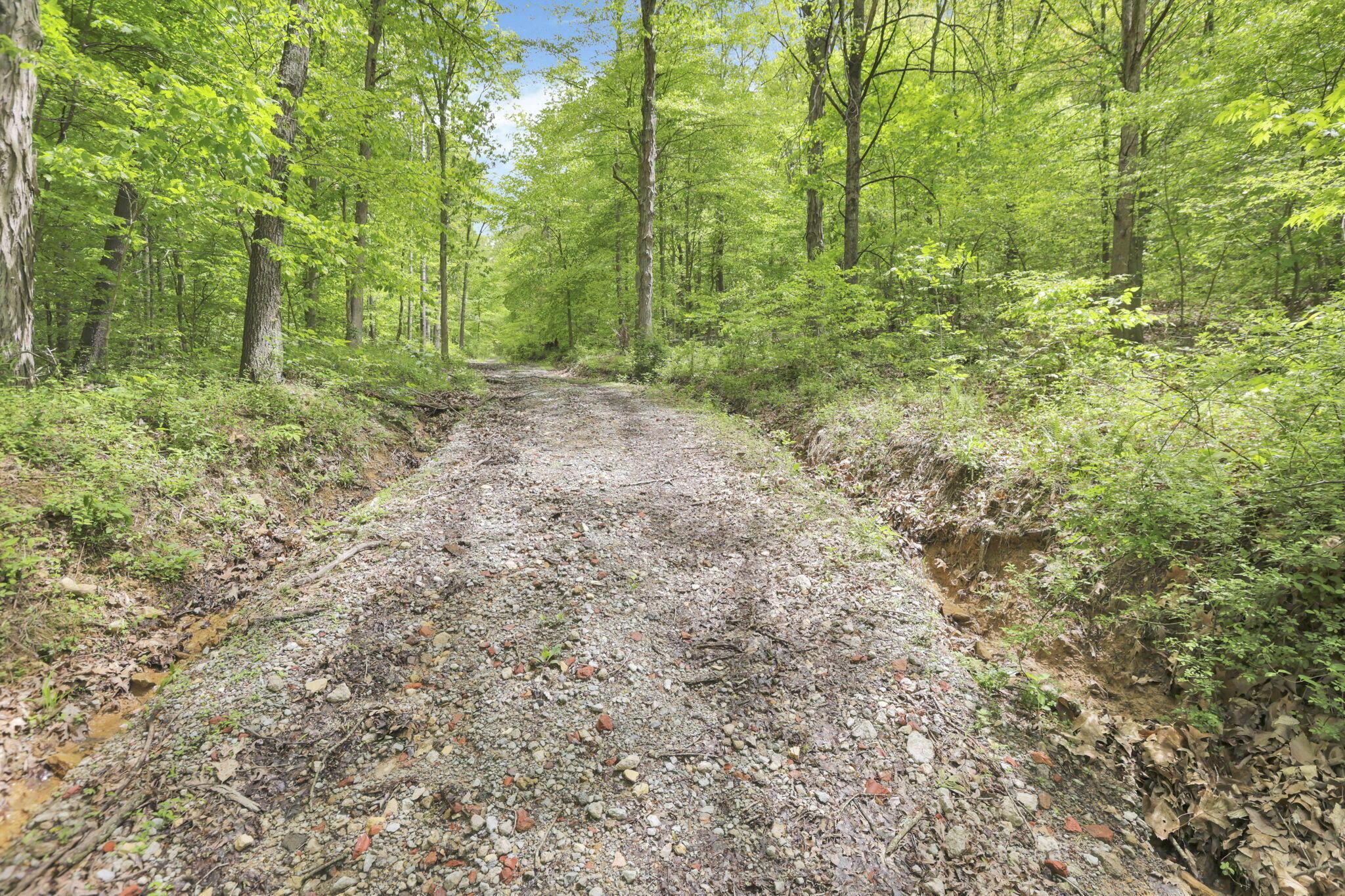 Karnes Road, Nelsonville, Ohio image 21