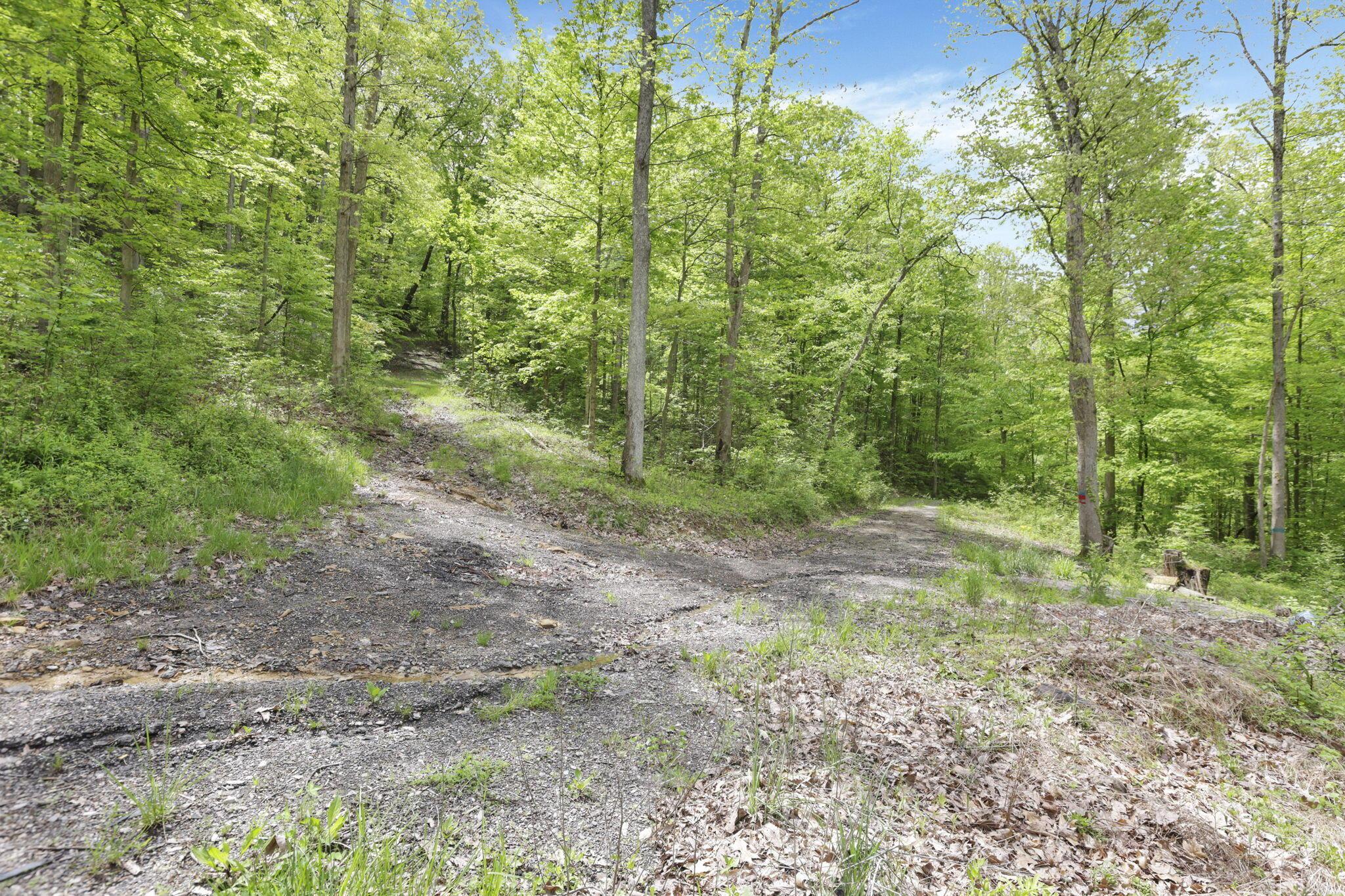 Karnes Road, Nelsonville, Ohio image 15