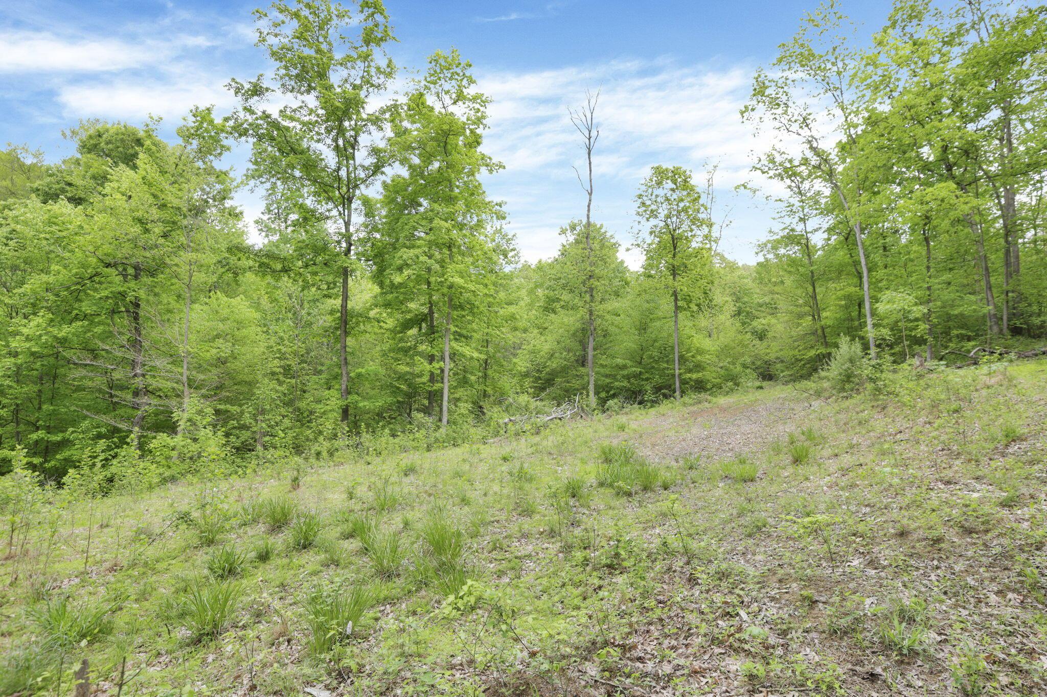 Karnes Road, Nelsonville, Ohio image 16