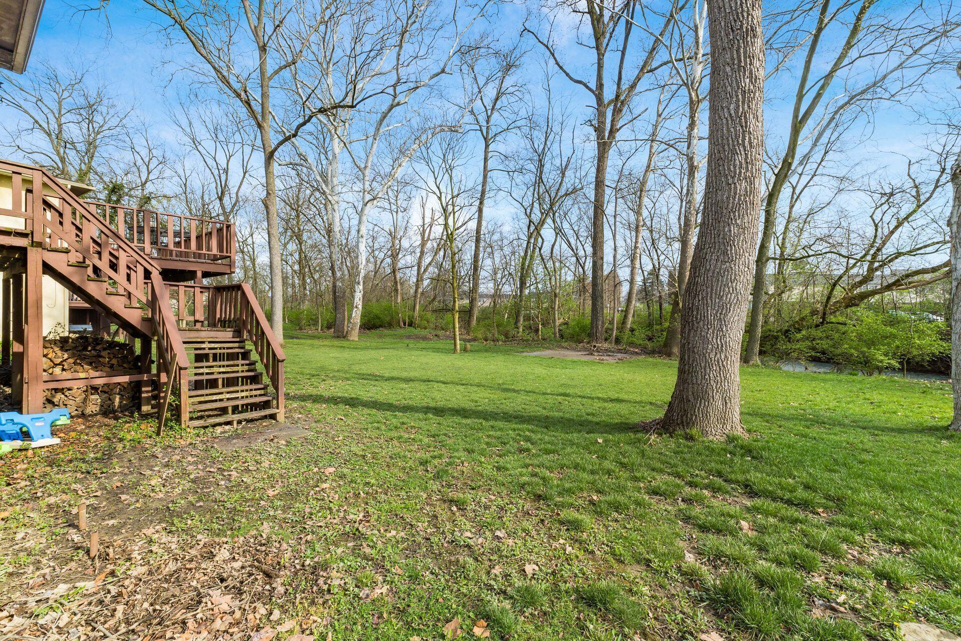 7056 White Butterfly Lane