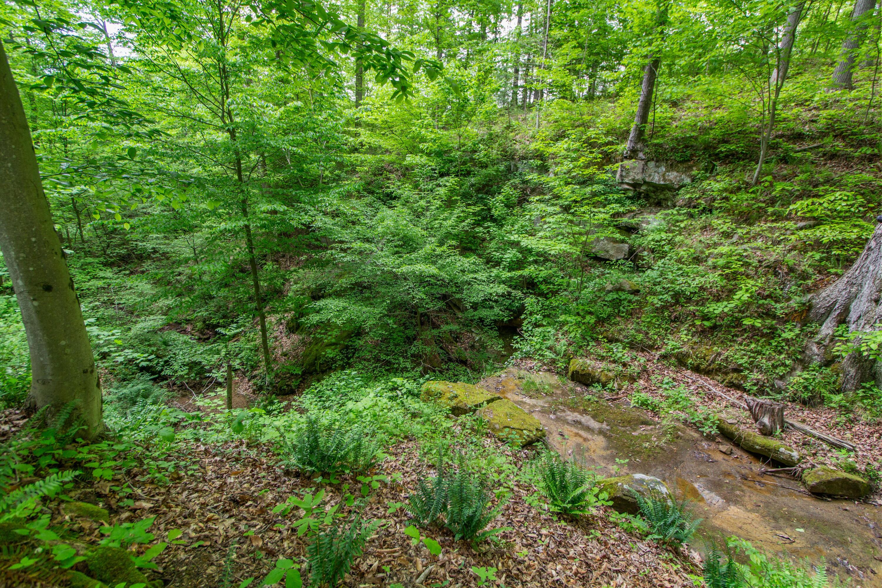 2500 Robert Kelly Road, Cutler, Ohio image 30
