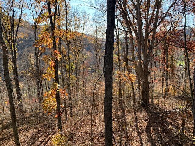 E Fork Road, Laurelville, Ohio image 14