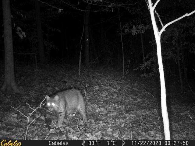 E Fork Road, Laurelville, Ohio image 6