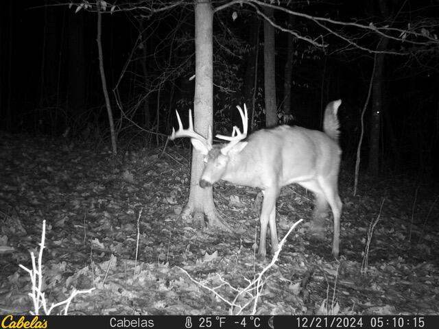 E Fork Road, Laurelville, Ohio image 10