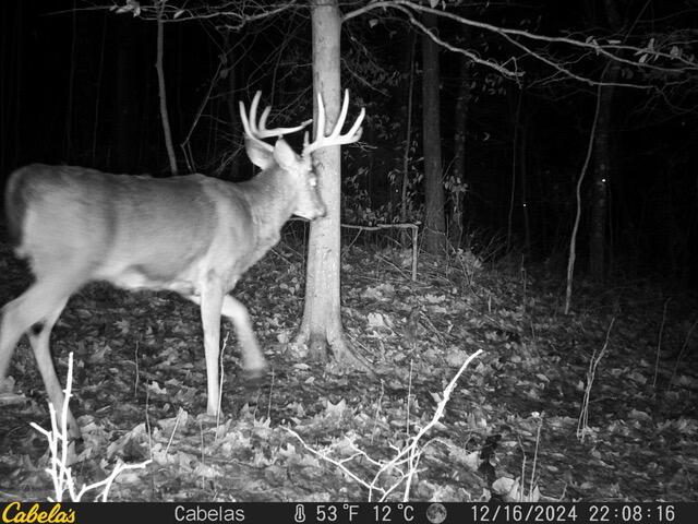 E Fork Road, Laurelville, Ohio image 8
