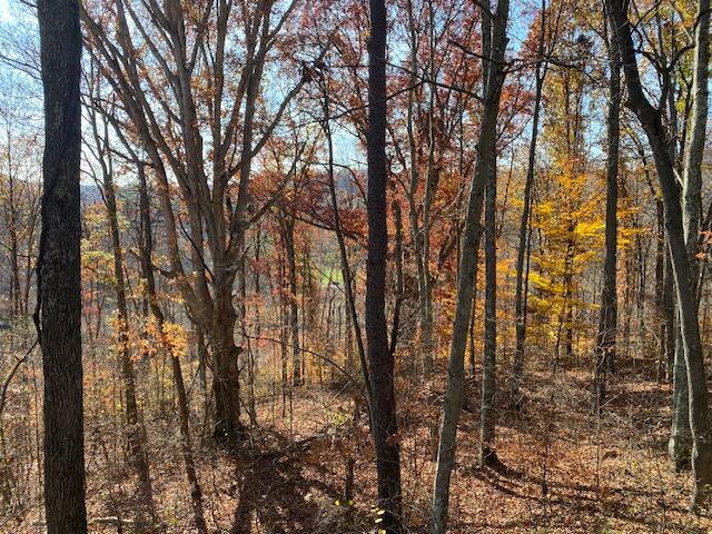 E Fork Road, Laurelville, Ohio image 15