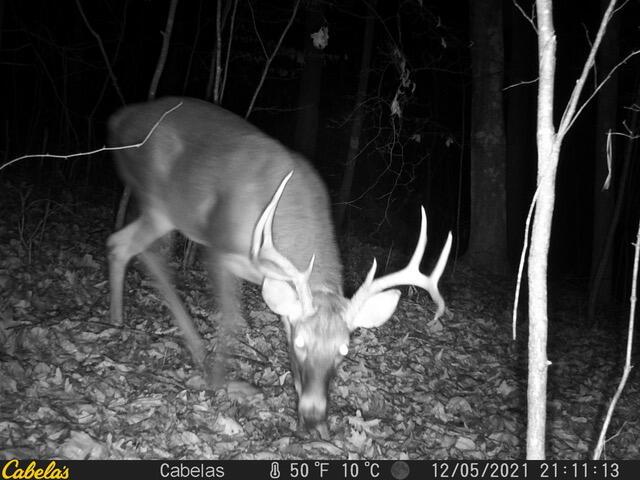 E Fork Road, Laurelville, Ohio image 7