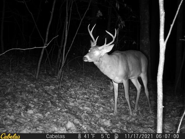 E Fork Road, Laurelville, Ohio image 5