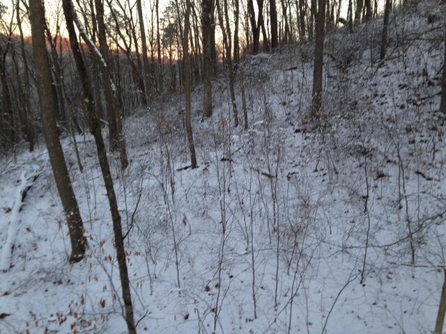E Fork Road, Laurelville, Ohio image 12