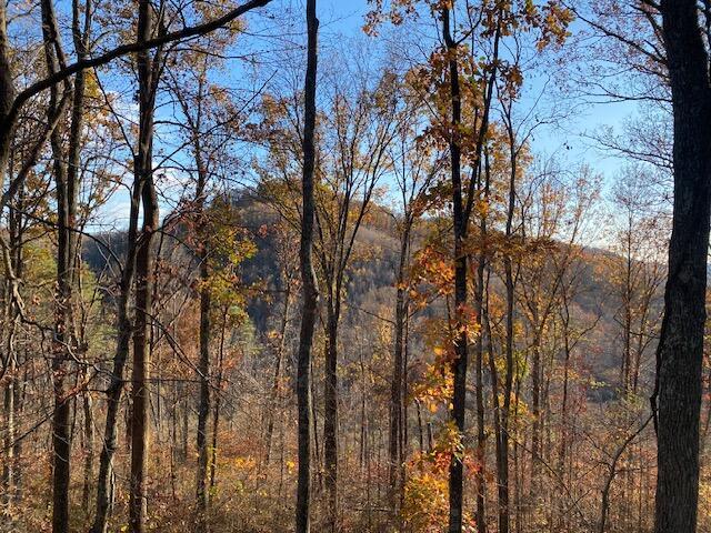 E Fork Road, Laurelville, Ohio image 16