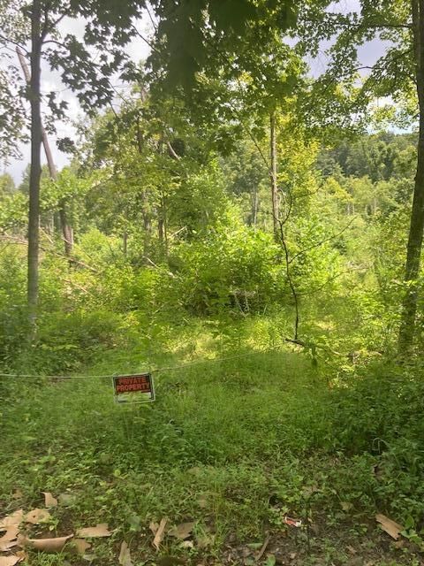 Vacant Land For Sale - E Fork Road<br/> Laurelville, OH 43135
