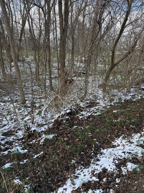 Vacant Land For Sale - 2687-2690 Pine Road<br/> Thornville, OH 43076