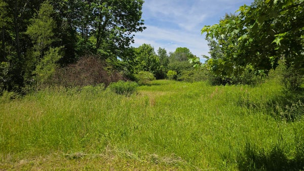 186 TOWNSHIP ROAD 209, MARENGO, OH 43334 - Image e54089b51e0f00a4775803c82e7f6352/1393560651