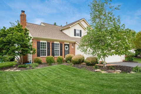 Photo of 432 Zion Drive, Powell, OH 43065 (MLS # 226016317)