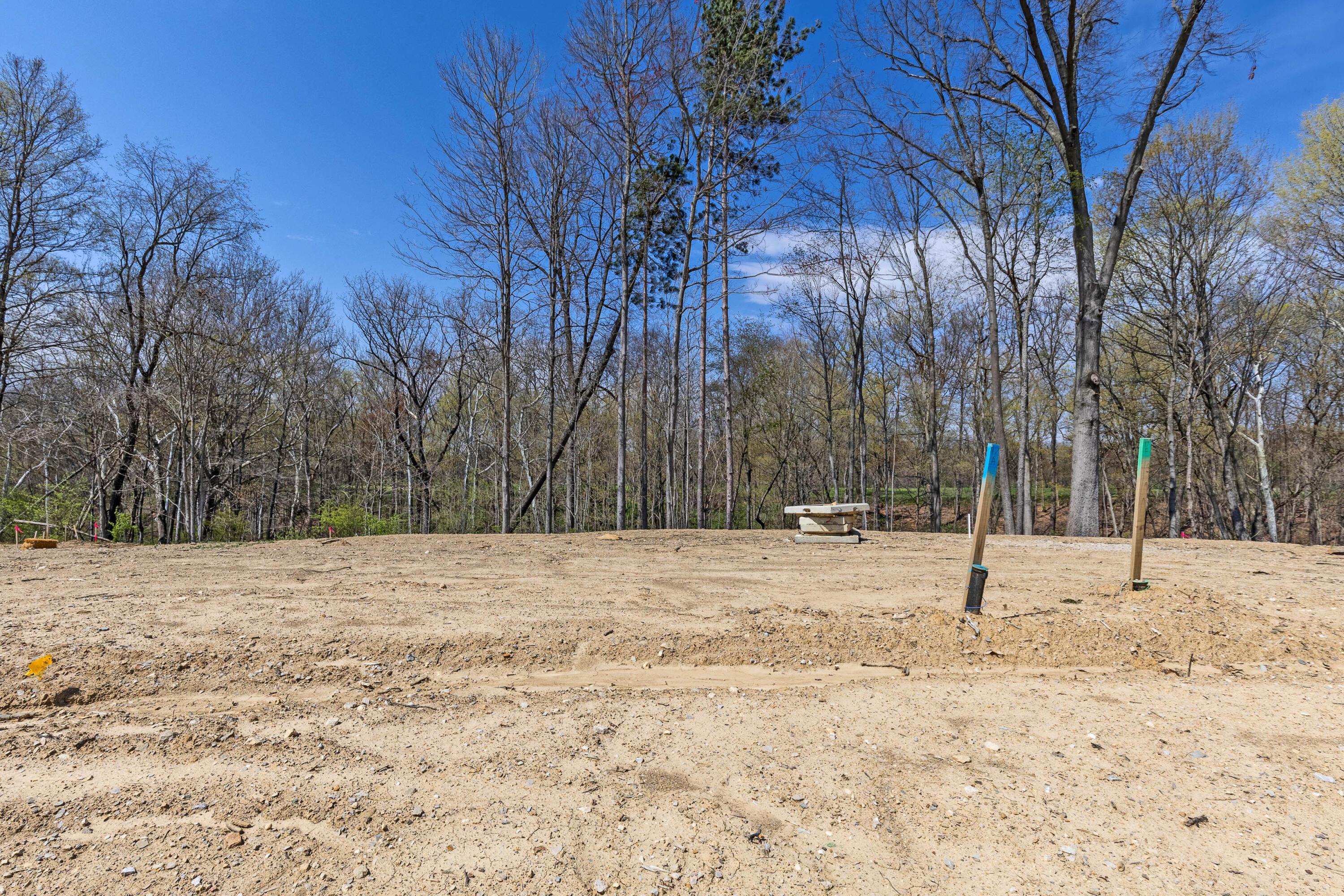121 Stoneybank Drive #LOT 15685 BLDR LOT6, Delaware, Ohio image 4