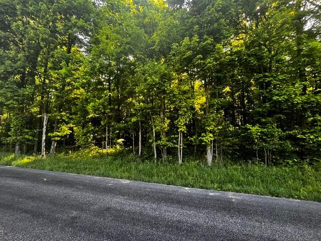 0 Feasel Road