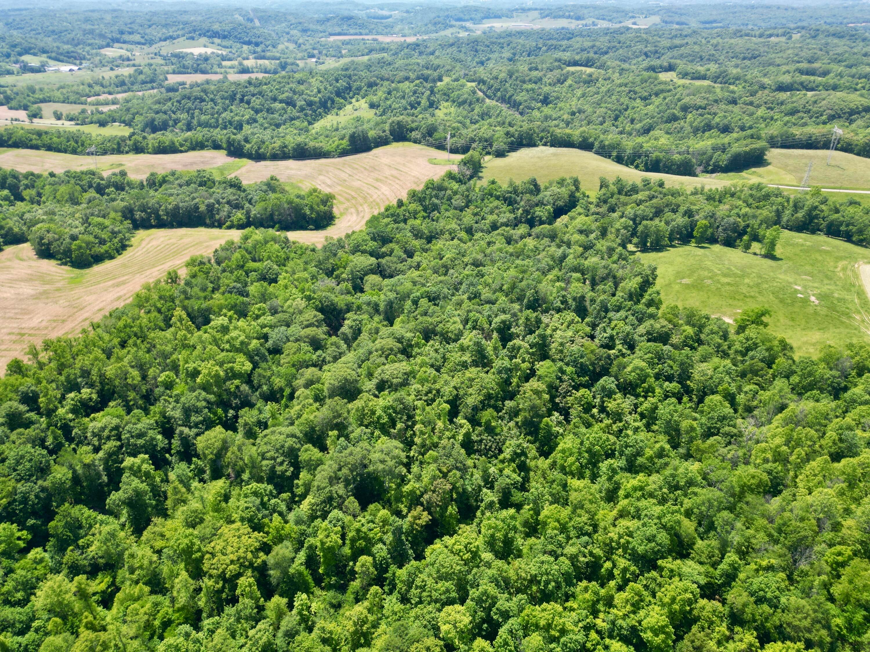 9811 Green Valley Road, Chandlersville, Ohio image 26