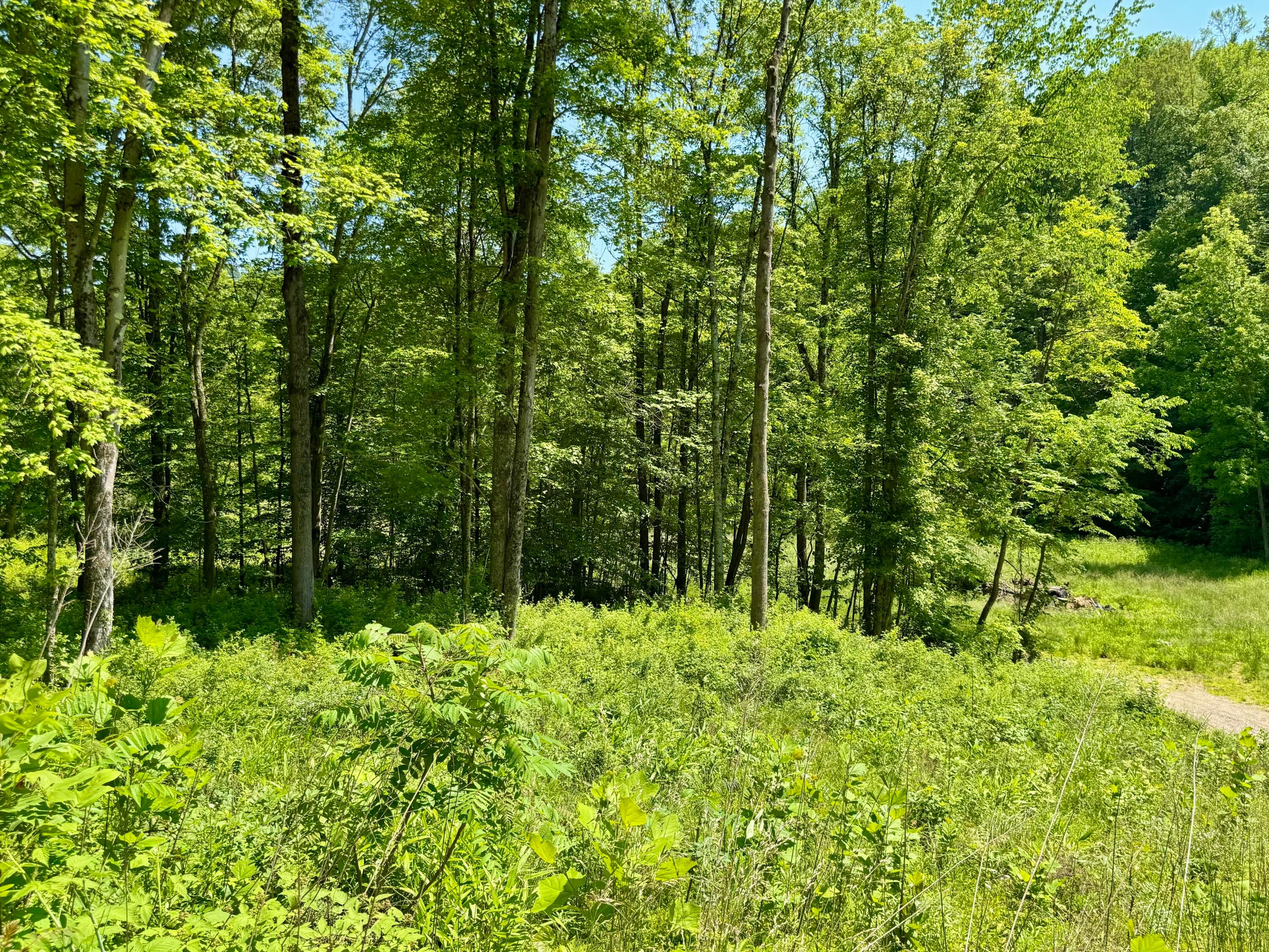 9811 Green Valley Road, Chandlersville, Ohio image 7