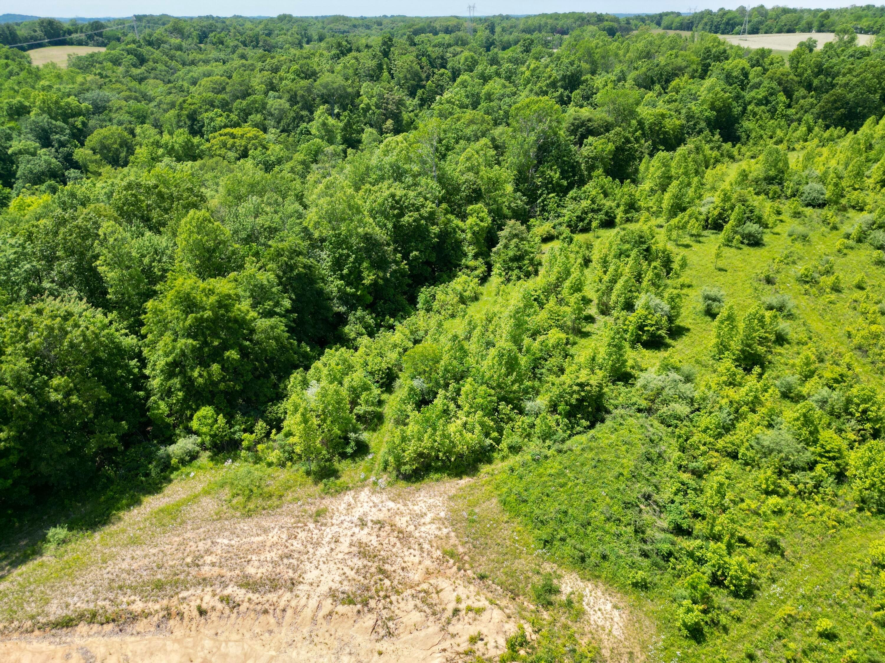 9811 Green Valley Road, Chandlersville, Ohio image 31