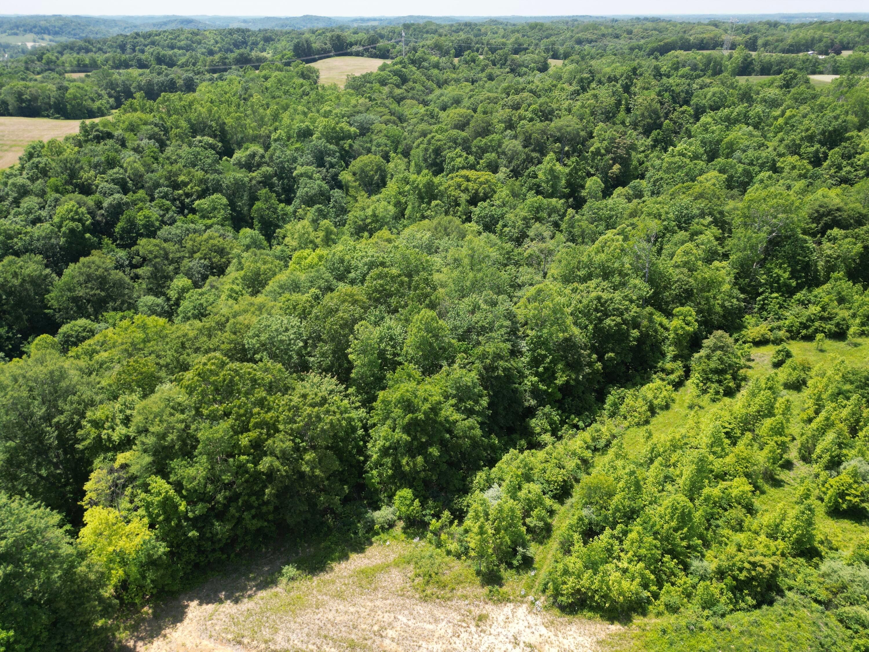 9811 Green Valley Road, Chandlersville, Ohio image 30