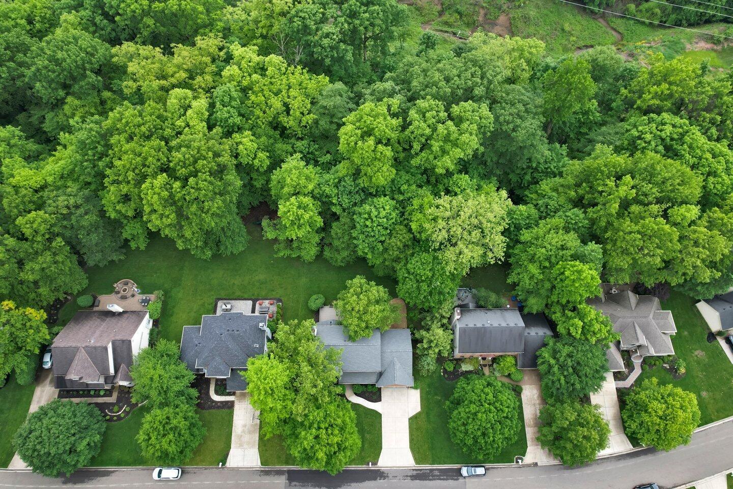 5528 Cypress Court, Westerville, Ohio image 16