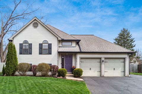 1832 Shadow Creek Court Powell OH 43065