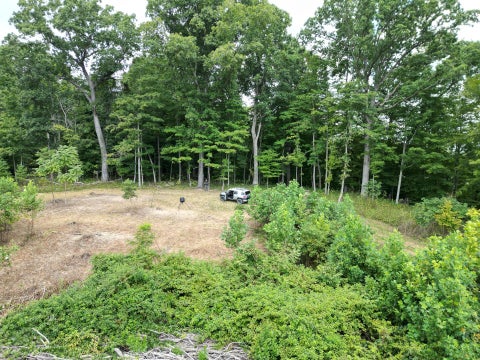 Vacant Land For Sale - 9957 County Road 5 #TRACT 1 AT ELKINS CREEK<br/> Pedro, OH 45659