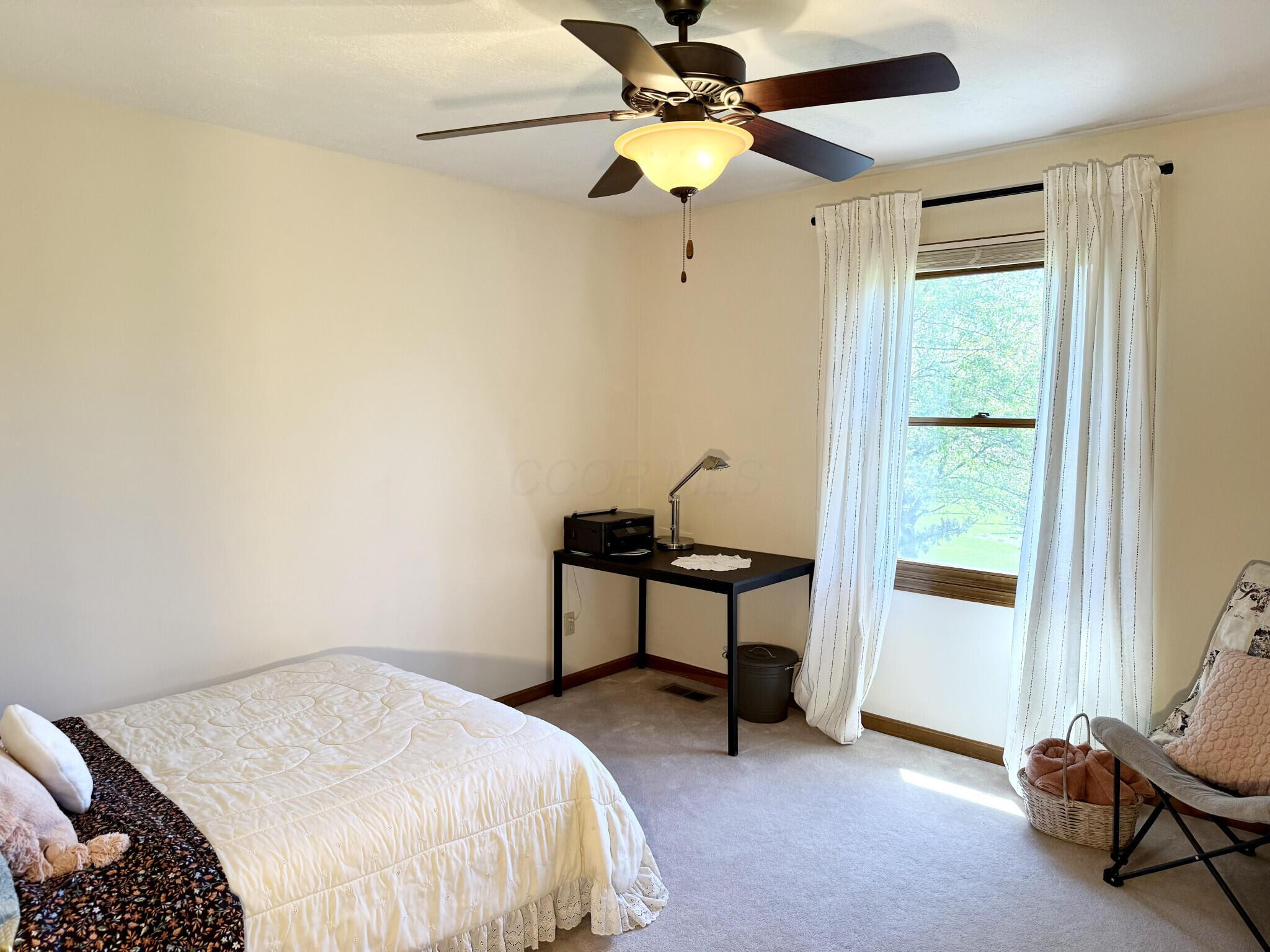 2818 Big Sur Drive, Lewis Center, Ohio image 18