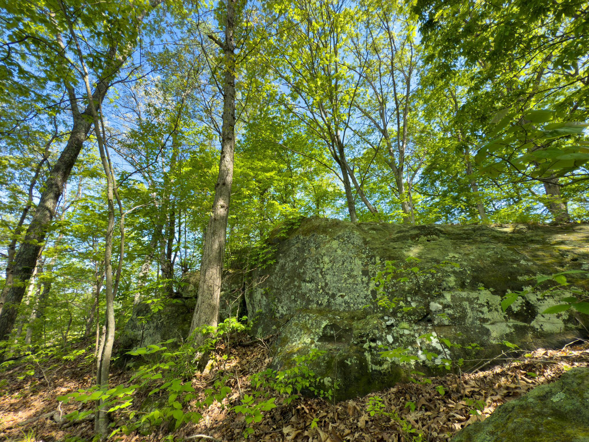 140 Sycamore Street, Glouster, Ohio image 32