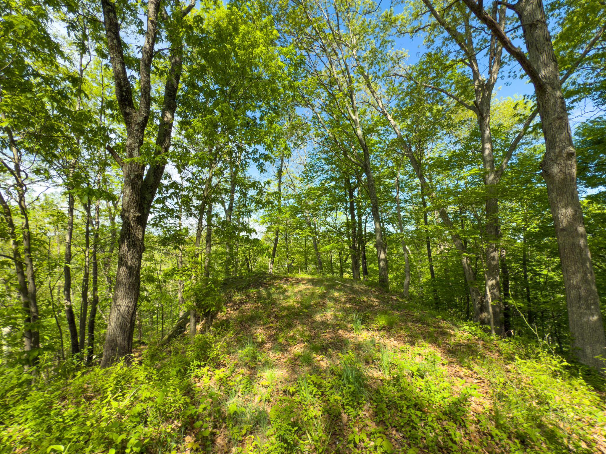 140 Sycamore Street, Glouster, Ohio image 31