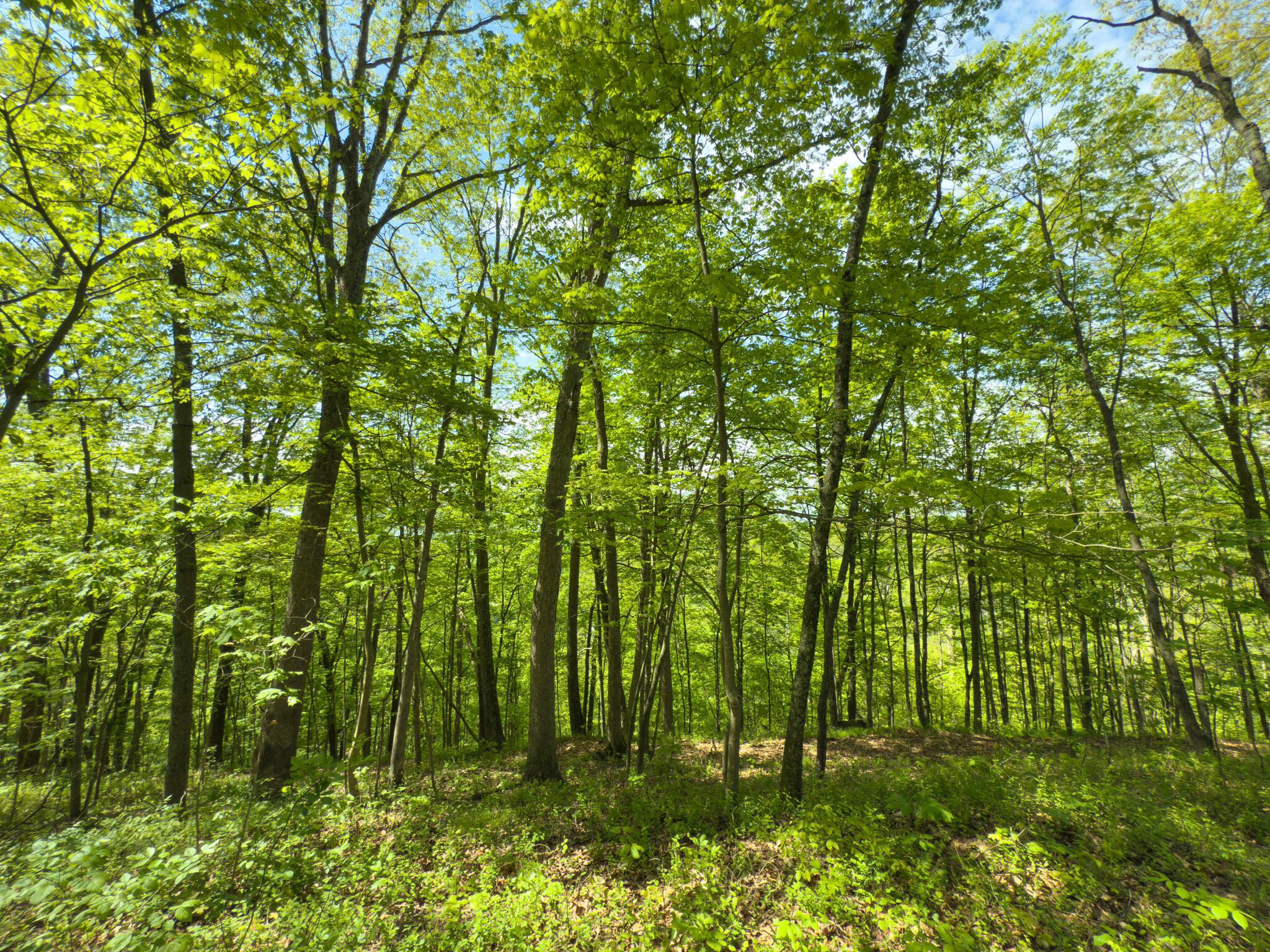 140 Sycamore Street, Glouster, Ohio image 34