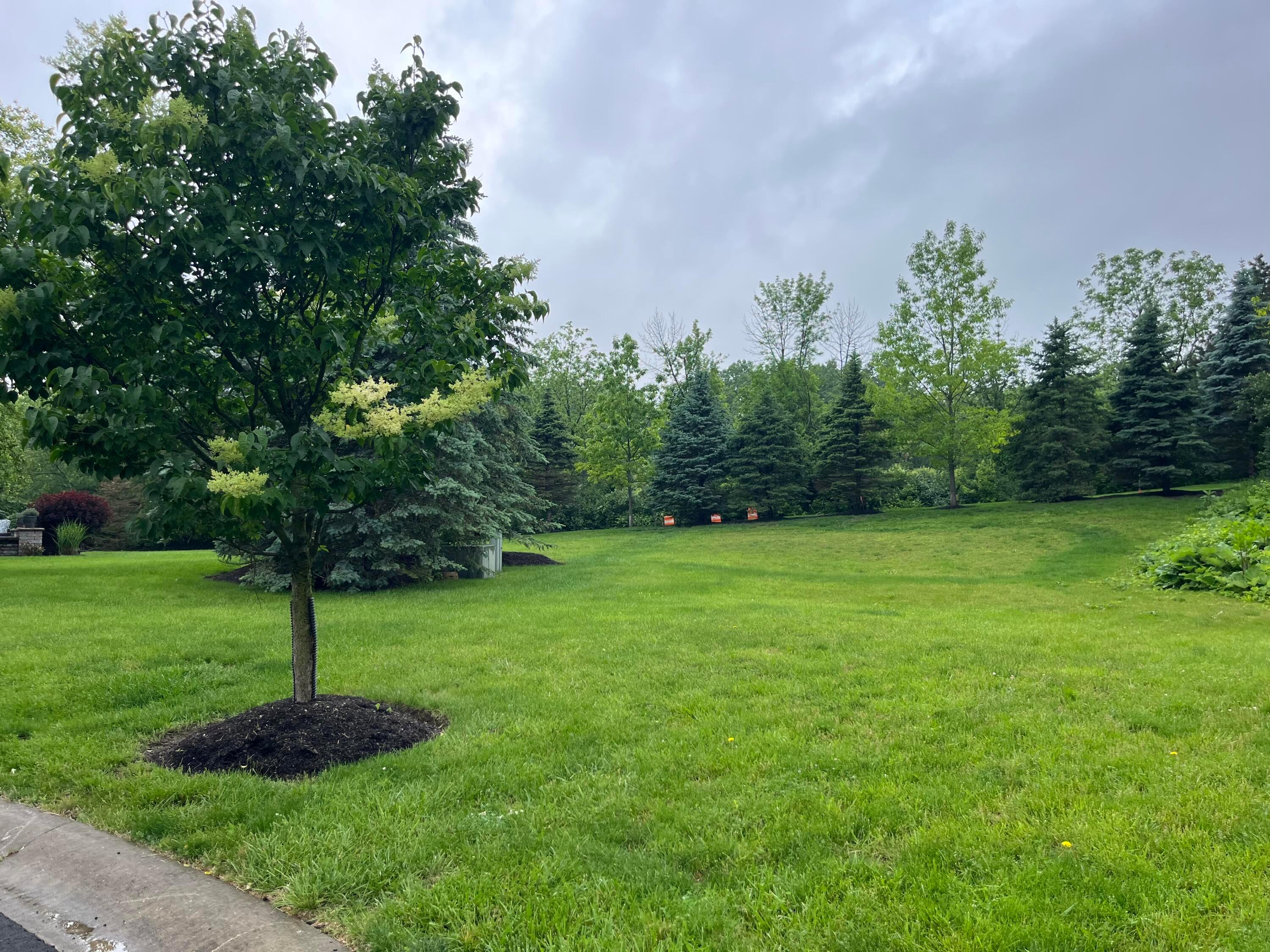 2600 Scioto Pointe Lane, Columbus, Ohio image 1