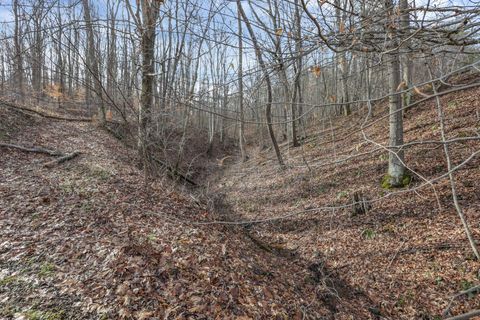 Tiny photo for 22913 Goose Creek Road, South Bloomingville, OH 43152 (MLS # 226000935)