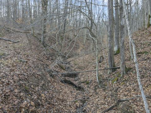 Tiny photo for 22913 Goose Creek Road, South Bloomingville, OH 43152 (MLS # 226000935)