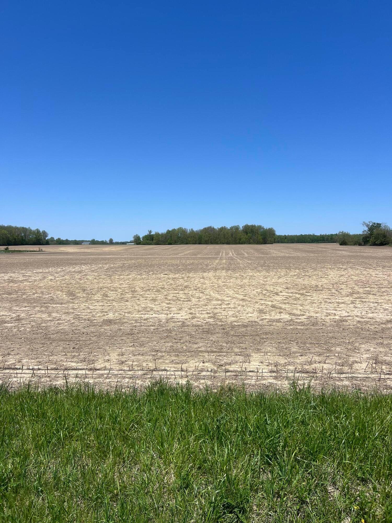 4702 Us Highway 42, Cardington, Ohio image 6