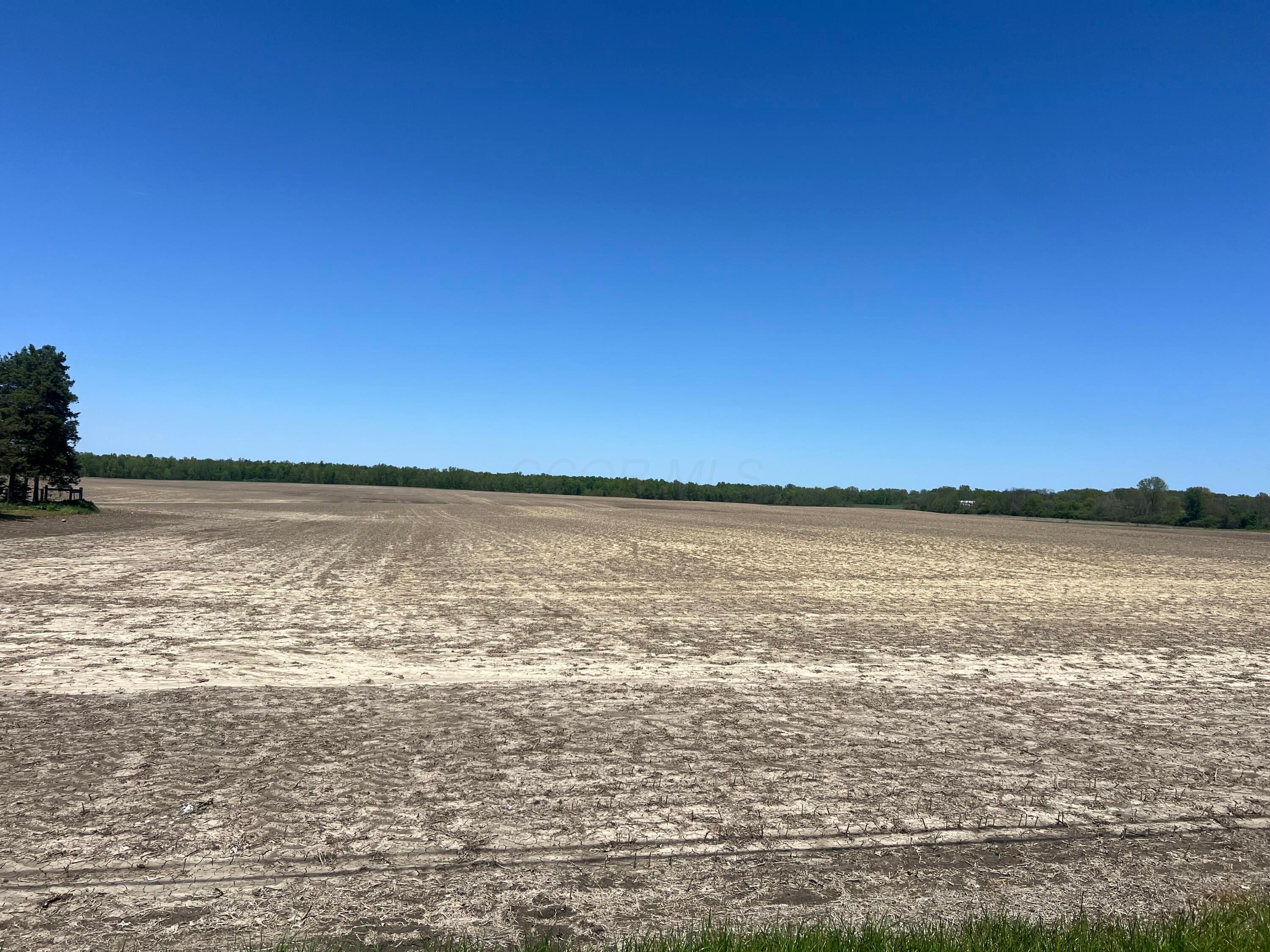 4702 Us Highway 42, Cardington, Ohio image 2