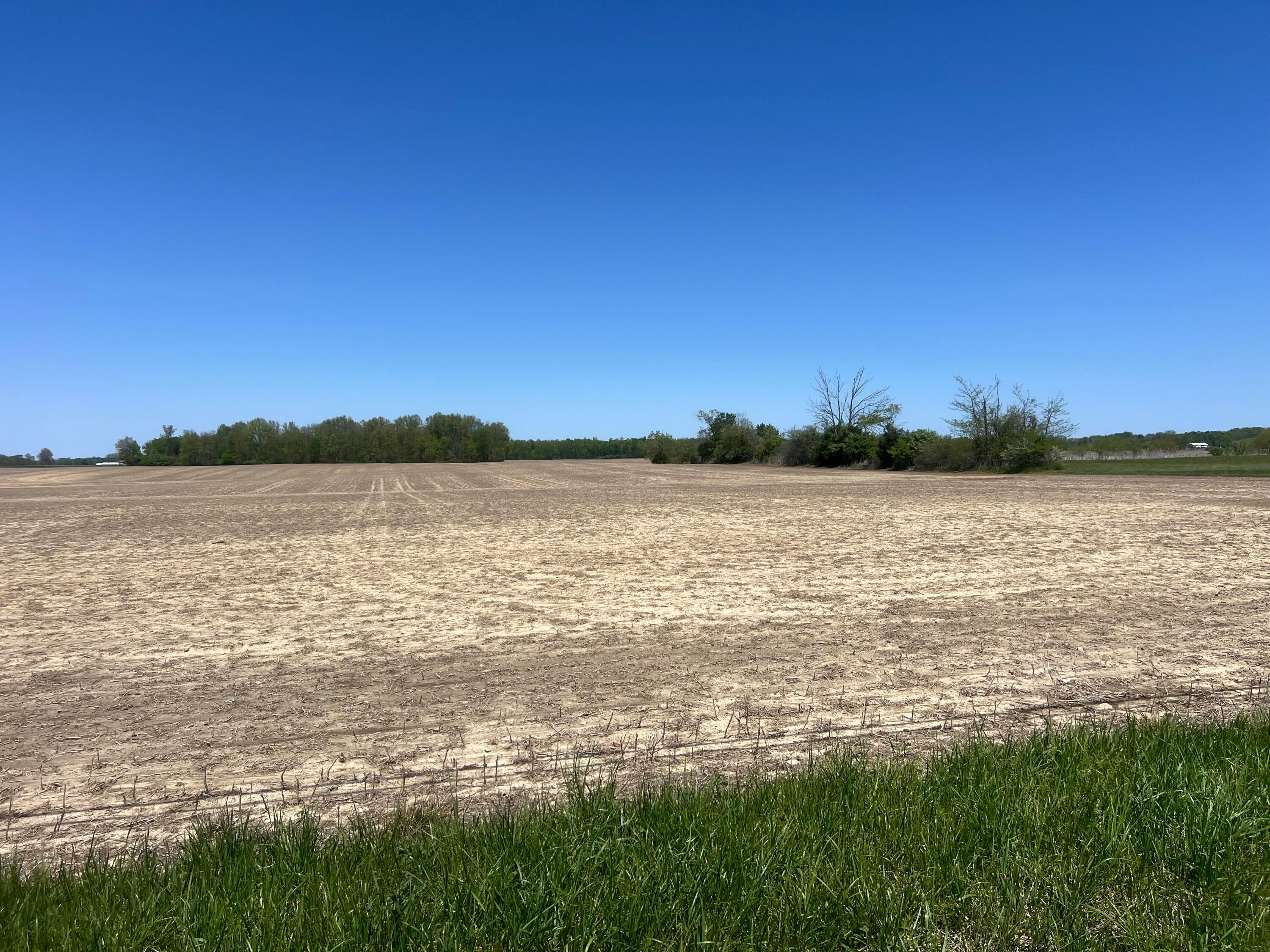 4702 Us Highway 42, Cardington, Ohio image 5