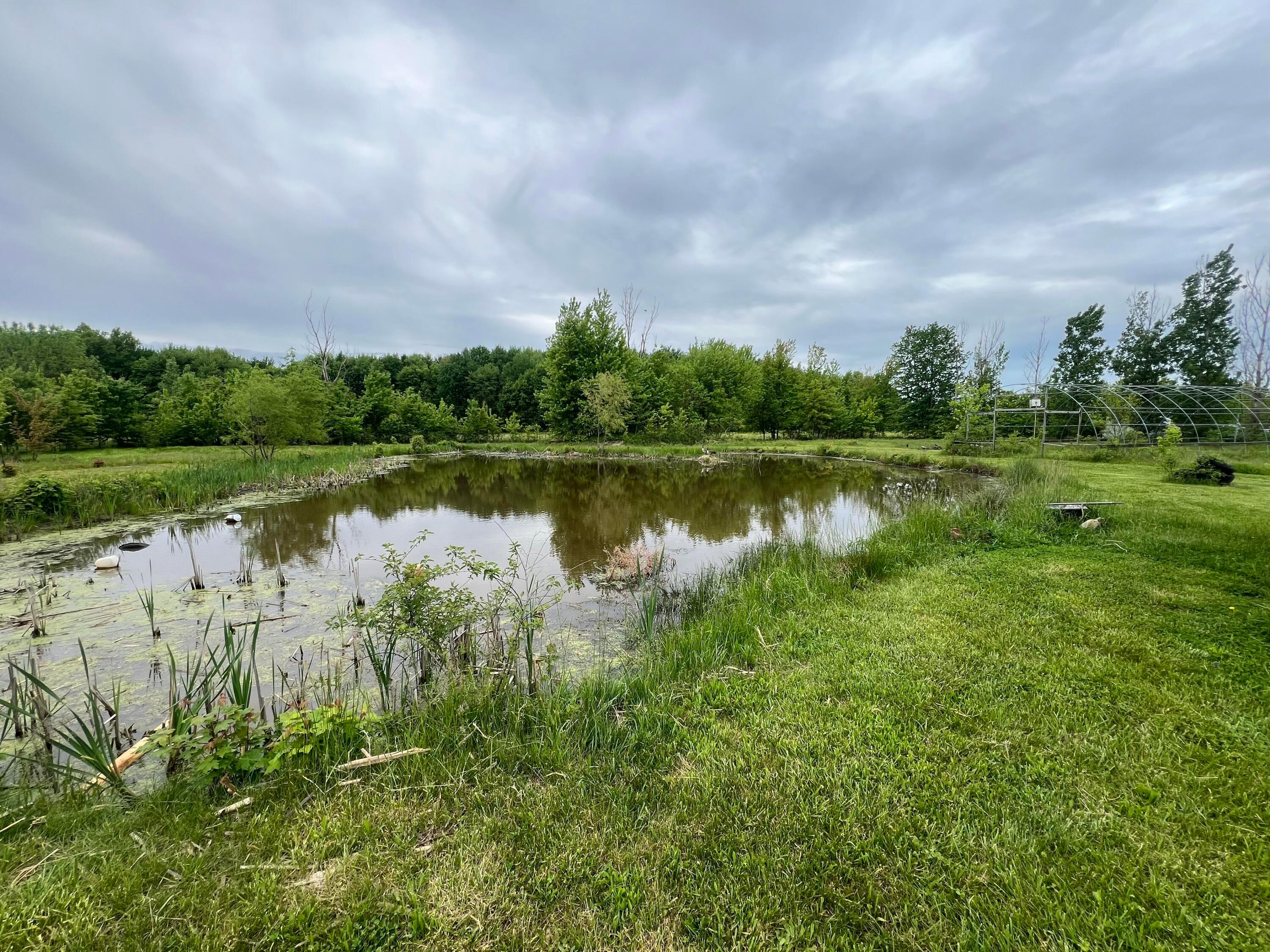 256 Mudswitch Road, Martinsville, Ohio image 11