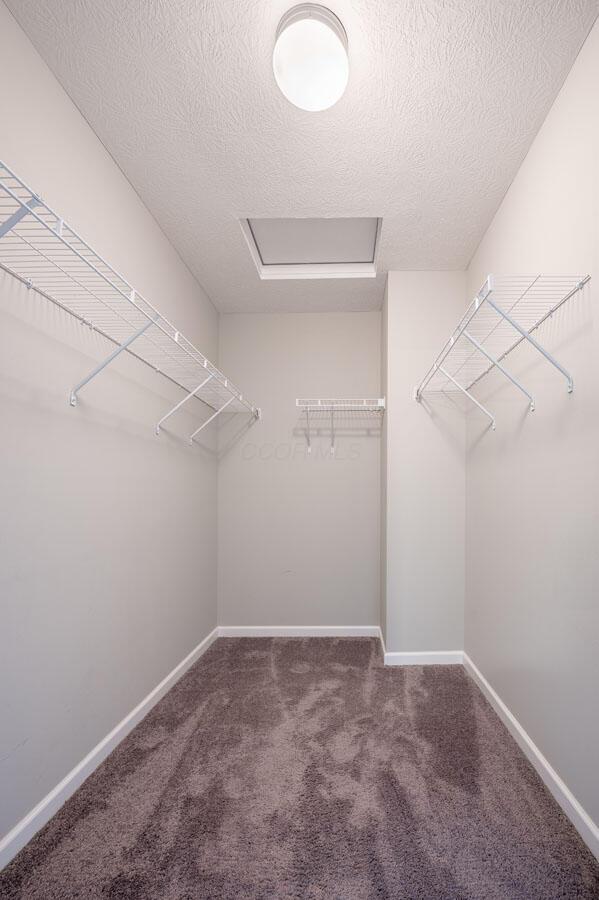 5907 Seffner Drive, Westerville, Ohio image 37