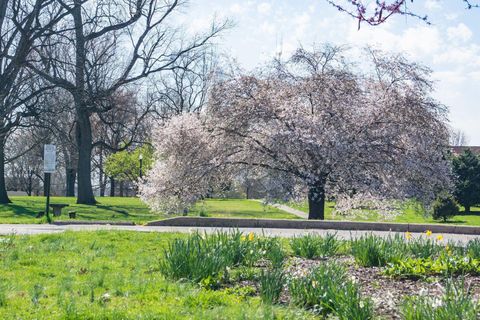 Tiny photo for 46 W Russell Street, Columbus, OH 43215 (MLS # 225040978)