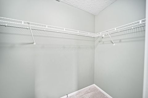 Tiny photo for 9002 Newmills Lane, Lewis Center, OH 43035 (MLS # 225044203)