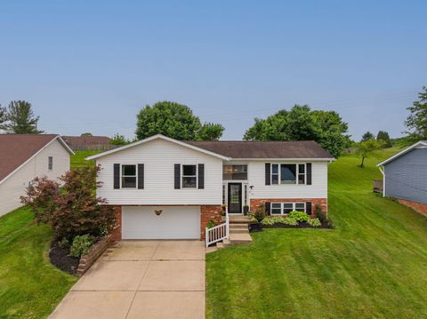 Photo of 141 Mae Street, Logan, OH 43138 (MLS # 226018849)