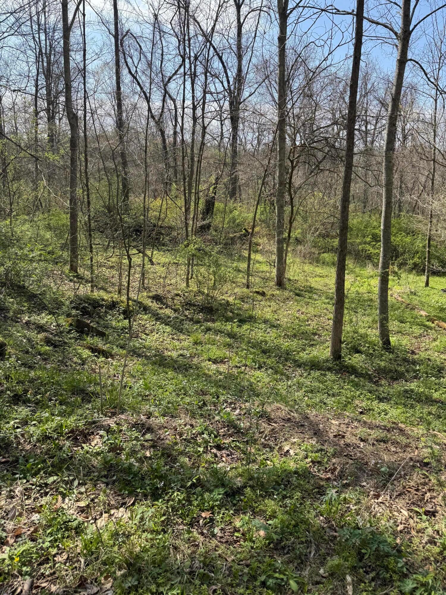 18261 Jacksonville Road, Glouster, Ohio image 18