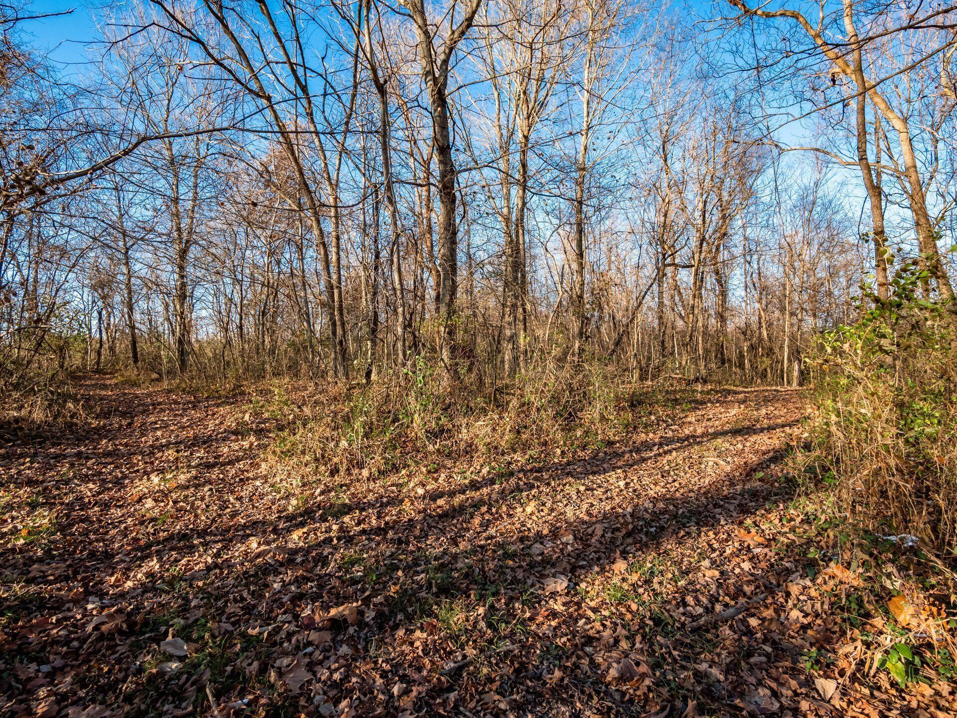 12890 Tarlton Road, Stoutsville, Ohio image 39