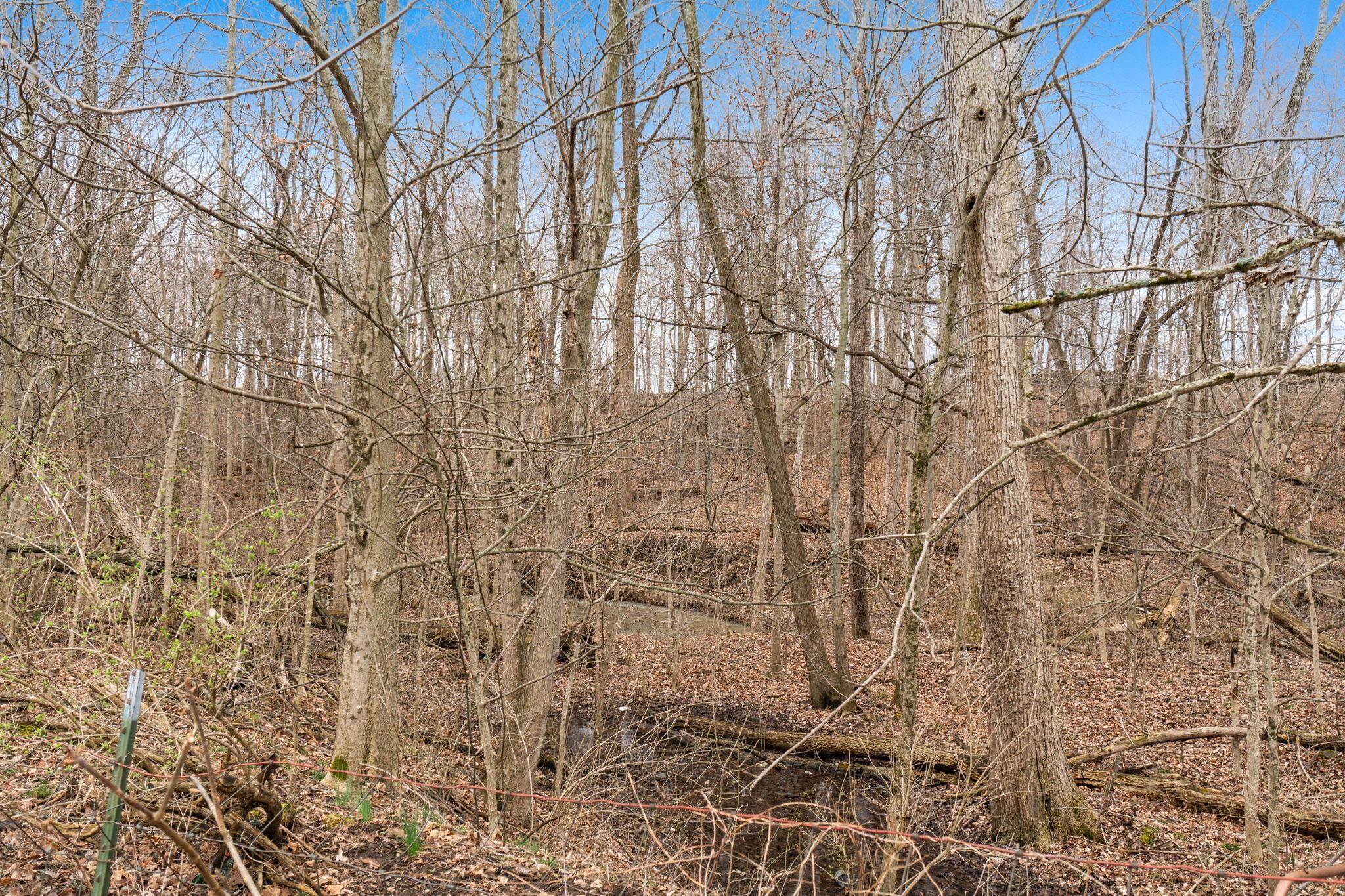 4979 Old Troy Pike, Urbana, Ohio image 31