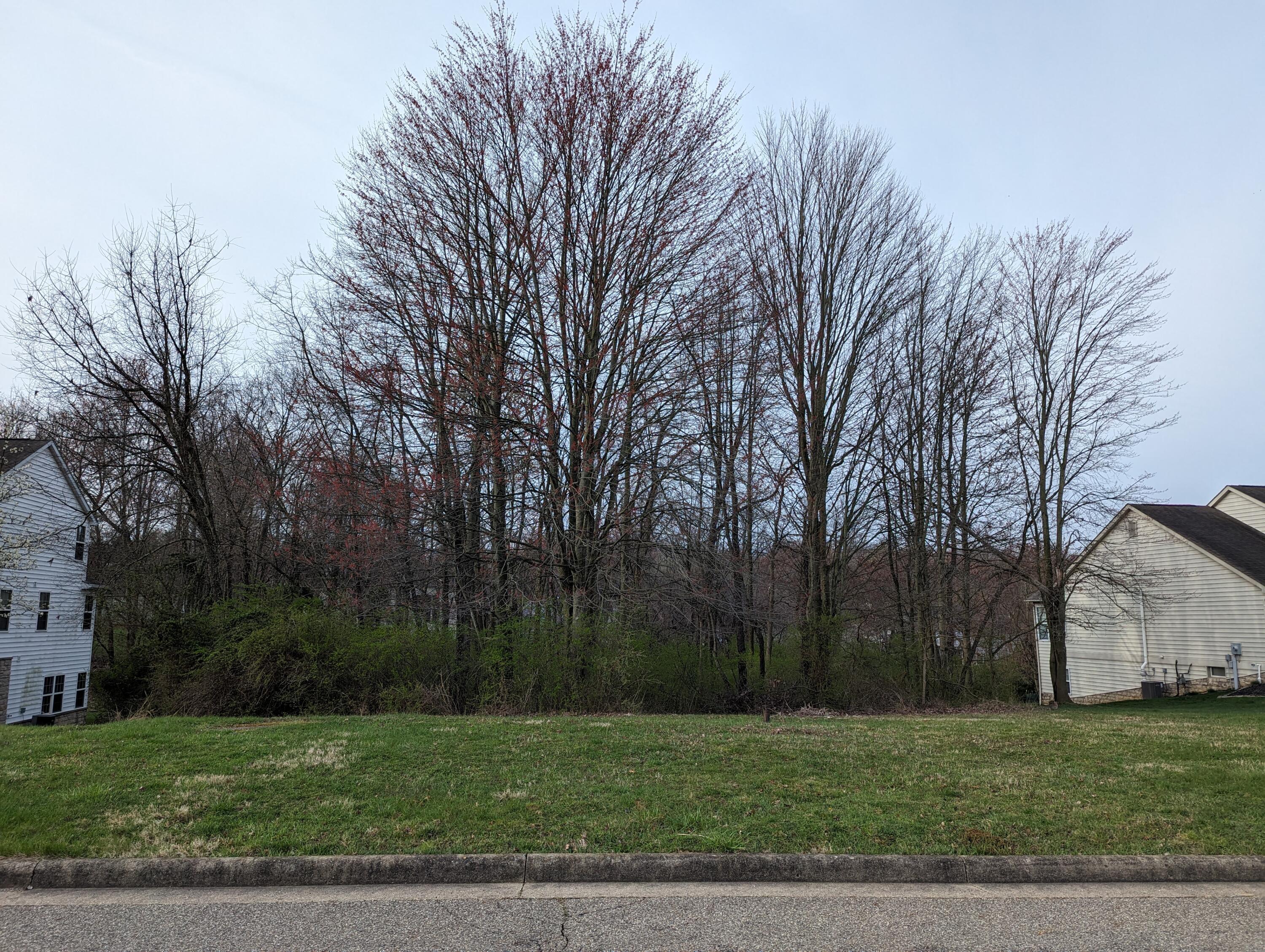 42 Wildwood Lane, Mount Vernon, Ohio image 1